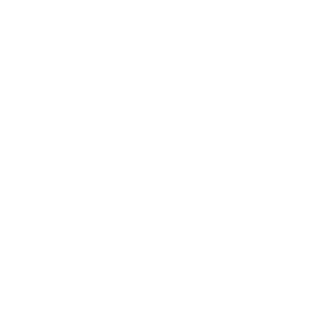 fleche blanche